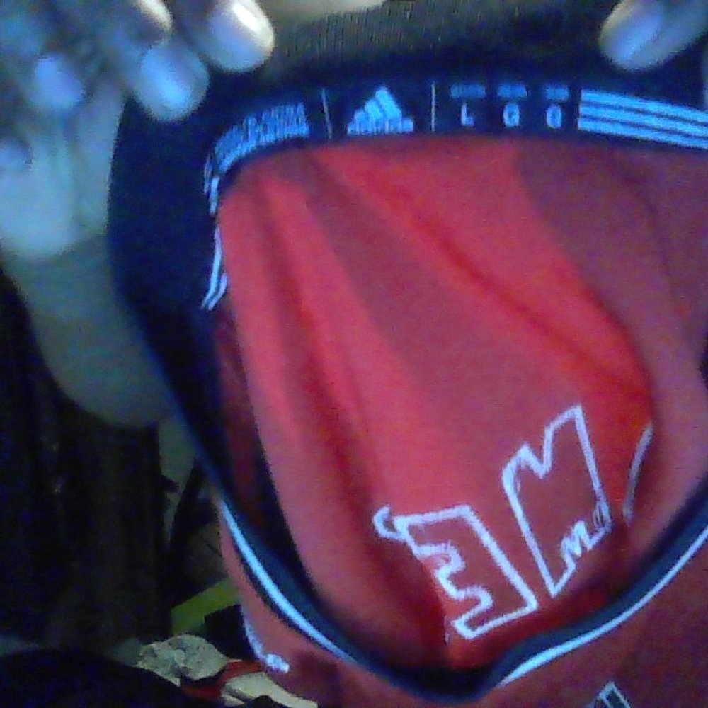 lebron james throw back jersey heat